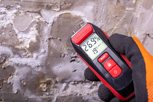 Mold Removal and Inspection in Nutter Fort, WV